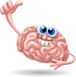 Brain